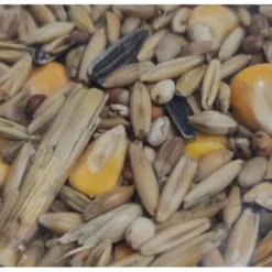 Zolux Aliment Composé Mélange Pour Poules Pondeuses 4 Kg Basse Cour -Animaux Fournitures Magasin aliment compose melange pour poules pondeuses 4 kg basse cour zolux zo 175306 2