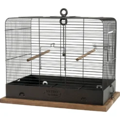 Zolux Cage RETRO CELESTINE. 41 X 31 X Hauteur 48 Cm. Pour Oiseaux. 5 Zolux Cage RETRO CELESTINE. 41 X 31 X Hauteur 48 Cm. Pour Oiseaux. -Animaux Fournitures Magasin cage retro celestine 41 x 31 x hauteur 48 cm pour oiseaux zolux zo 104862 2