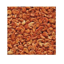 Gammarus, Aliment Naturel Pour Aquariophilie 100 G Pour Tortues D'eau