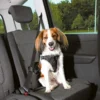 Trixie Harnais Pour Voiture Dog Confort S-M Pour Chien