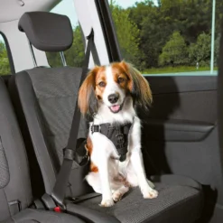 Trixie Harnais Pour Voiture Dog Confort S-M Pour Chien