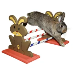 KERBL Obstacle Agility Kaninhop, Pour Rongeurs Et Lapins, Taille: 62 Cm Par 33 Cm Et 34 Cm