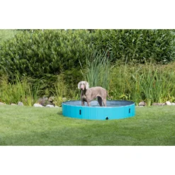 Piscine Pour Chien, Dimensions ø 160 × 30 Cm -Animaux Fournitures Magasin piscine pour chien dimensions o 160 x 30 cm animallparadise ap tr 39483 10