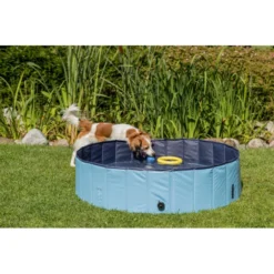 Piscine Pour Chien, Dimensions ø 80 × 20 Cm Coloris Bleu Clair-bleu -Animaux Fournitures Magasin piscine pour chien dimensions o 80 x 20 cm coloris bleu clair bleu animallparadise ap tr 39481 3