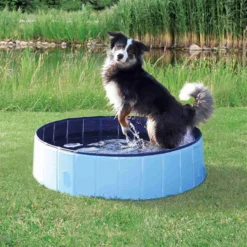 Piscine Pour Chien, Dimensions ø 80 × 20 Cm Coloris Bleu Clair-bleu -Animaux Fournitures Magasin piscine pour chien dimensions o 80 x 20 cm coloris bleu clair bleu animallparadise ap tr 39481 4