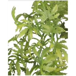 Plante Décorative En Plastiques Imitation Canna... De Jamaïque D'environ 56 Cm. -Animaux Fournitures Magasin plante decorative en plastiques imitation canna de jamaique denviron 56 cm animallparadise ap zo 387833 2