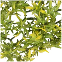 Plante Décorative En Plastiques Imitation Croton Bolivien D'environ 56 Cm -Animaux Fournitures Magasin plante decorative en plastiques imitation croton bolivien denviron 56 cm animallparadise ap zo 387735 3