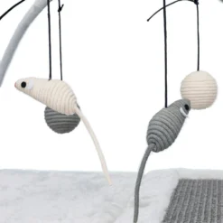 Trixie Tapis De Jeux Griffoir Pour Chat 60 × 33 × 42 Cm -Animaux Fournitures Magasin tapis de jeux griffoir pour chat 60 x 33 x 42 cm trixie tr 43114 4