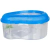 Terrarium Pyrus Pour Tortues 31 X 23 X 15 Cm Pour Amphibien