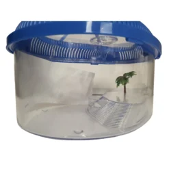 Terrarium Pyrus Pour Tortues 31 X 23 X 15 Cm Pour Amphibien -Animaux Fournitures Magasin terrarium pyrus pour tortues 31 x 23 x 15 cm pour amphibien flamingo pet products fl 405578 4