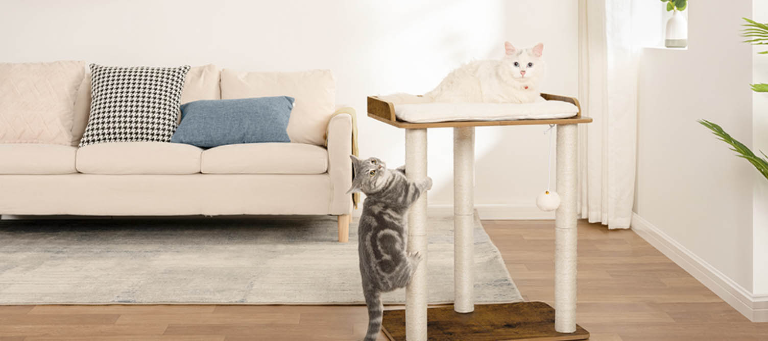 Animaux Fournitures Magasin -Animaux Fournitures Magasin DFGDFG