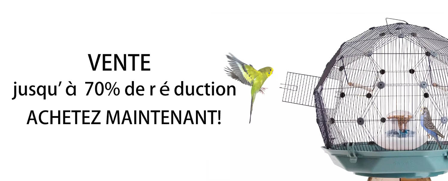 Animaux Fournitures Magasin -Animaux Fournitures Magasin SFDSF